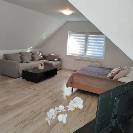Apartment Apartament Magdalenka Zakopane